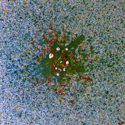 Juvenile Baroque Slaughterhouse : A Fly in the Ointment